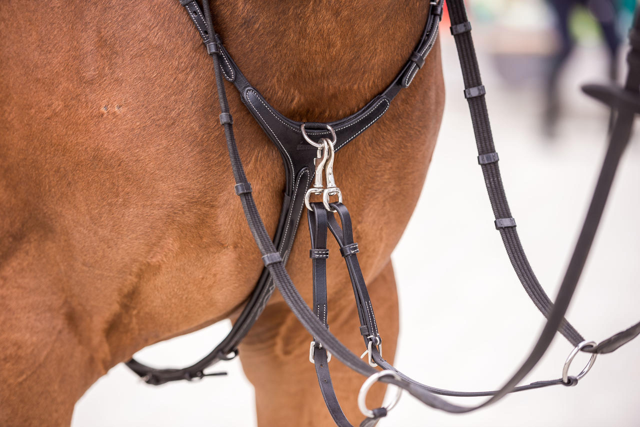 Kavalkade Collier de chasse Diandro
