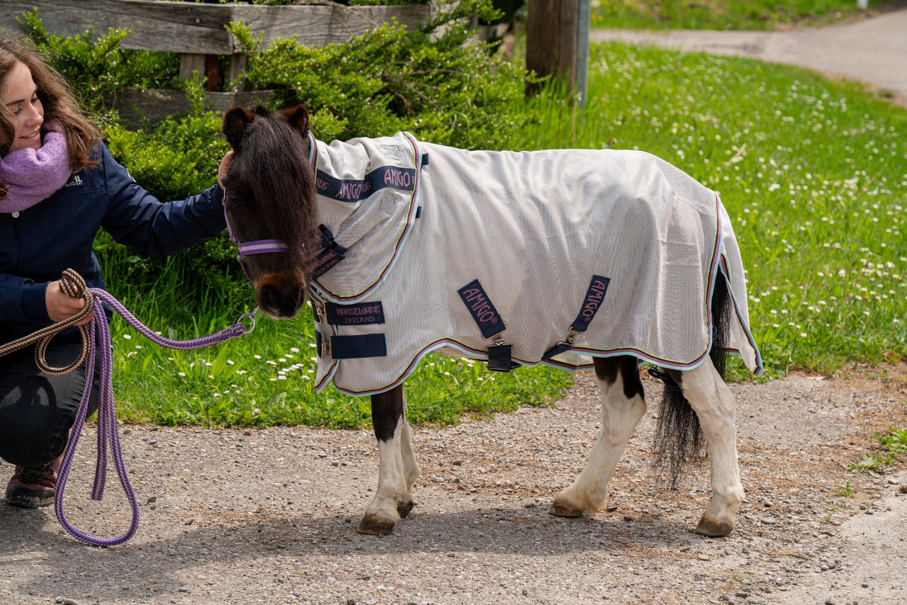 Horseware Chemise Anti-Mouches Pour Petite Amigo® Bug Rug