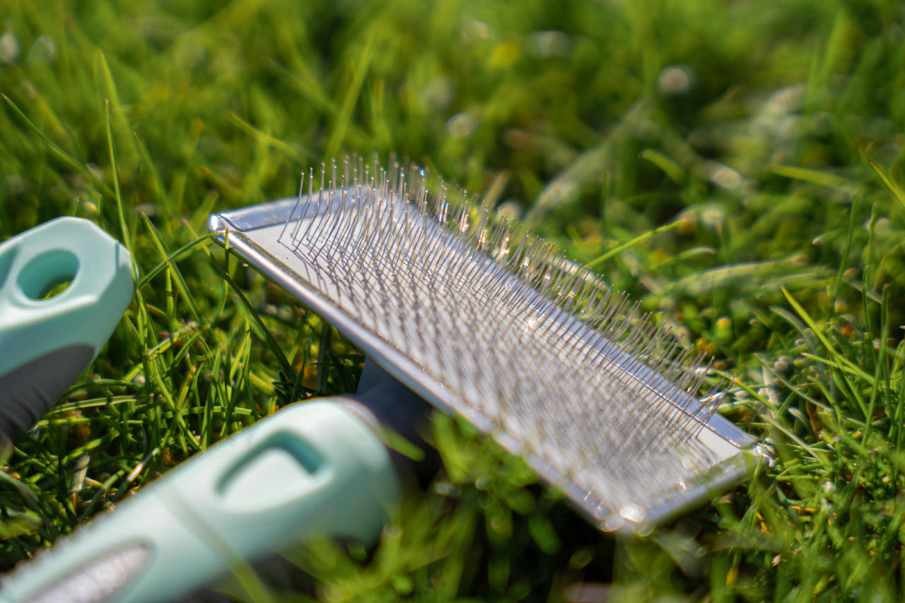 Kerbl Brosse carde douce, largeur 9 cm