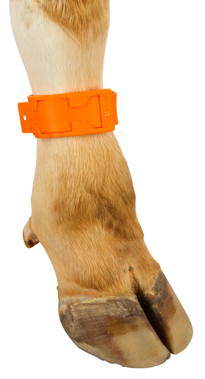 Kerbl Bracelet de marquage pour vaches