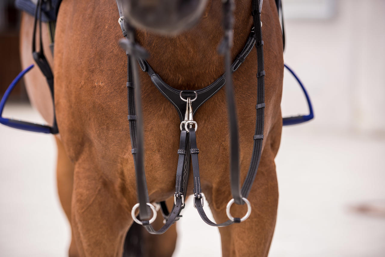 Kavalkade Collier de chasse Diandro