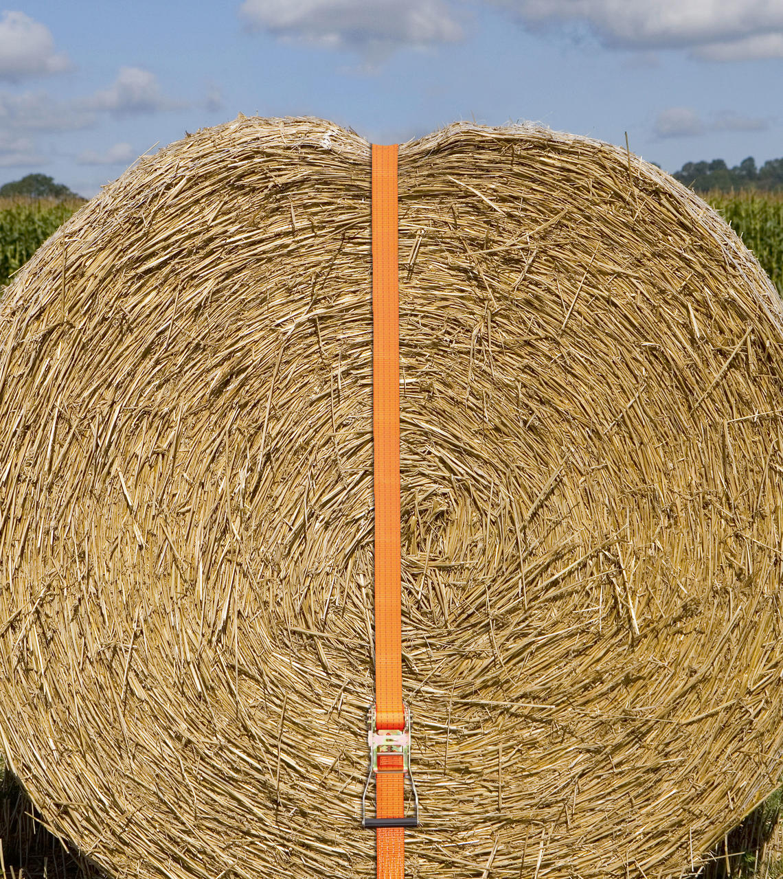 Kerbl Sangle d'arrimage, force de traction : 4000 kg, en deux parties