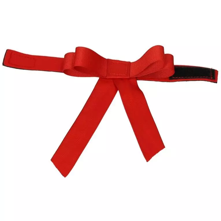 Nœud de ruban rouge avec scratch pour avertir