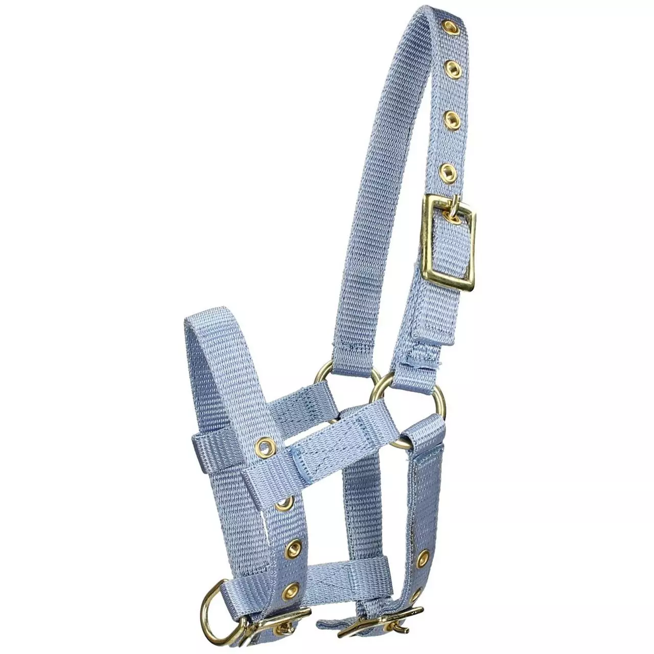 Ekkia Licol pour poulains de poneys