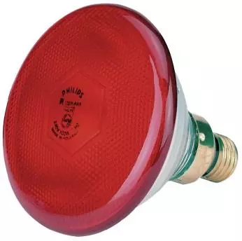 Philips Ampoule infrarouge économique 100 W