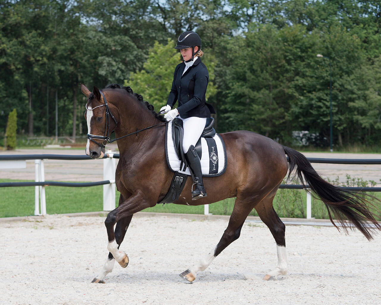 QHP Veste de concours Novèn