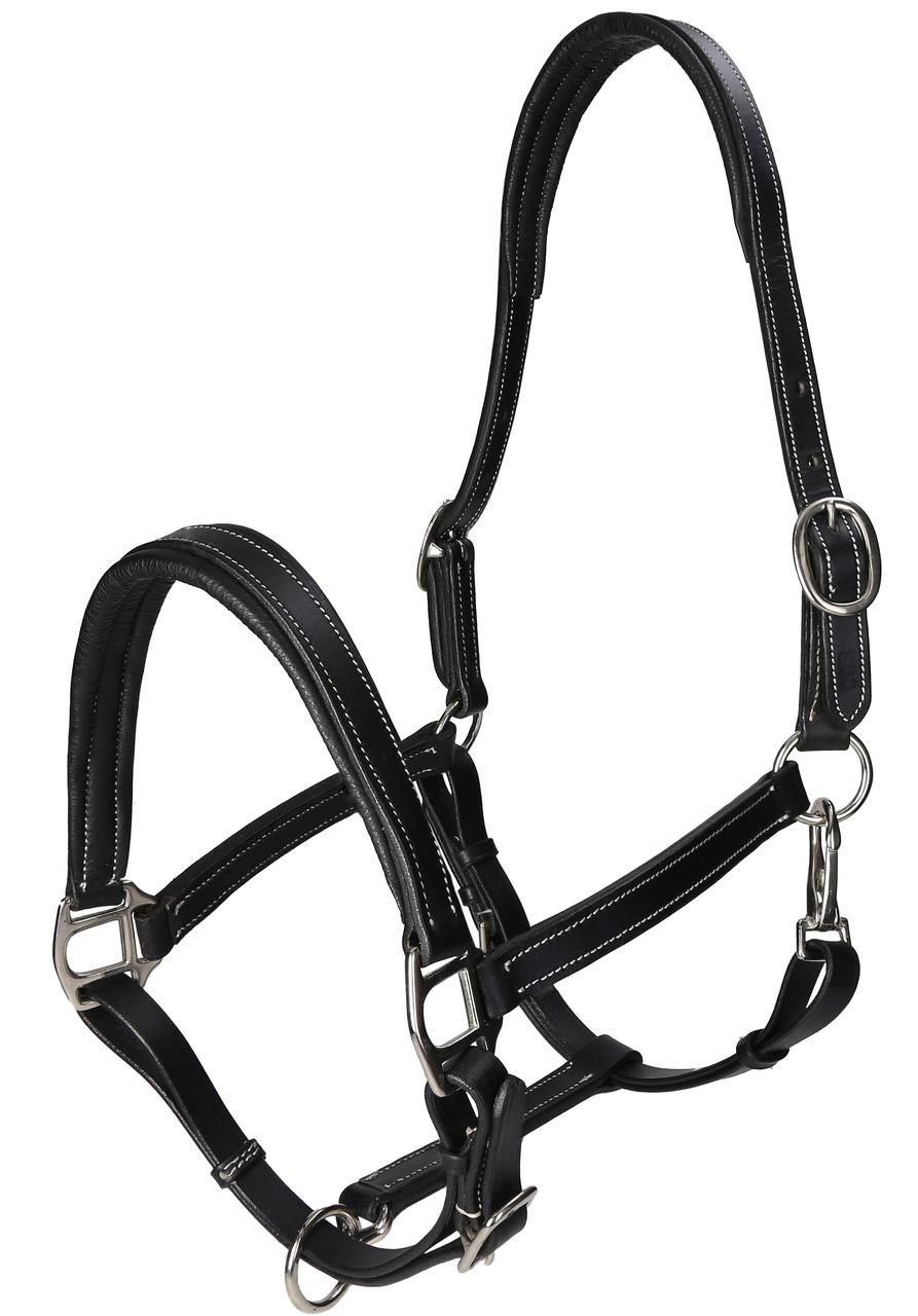 WAHL-Hausmarke Licol TenderMe, en cuir