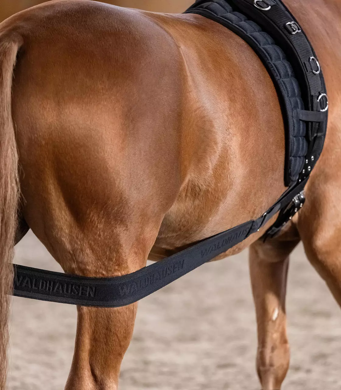 Waldhausen Bandage corporel