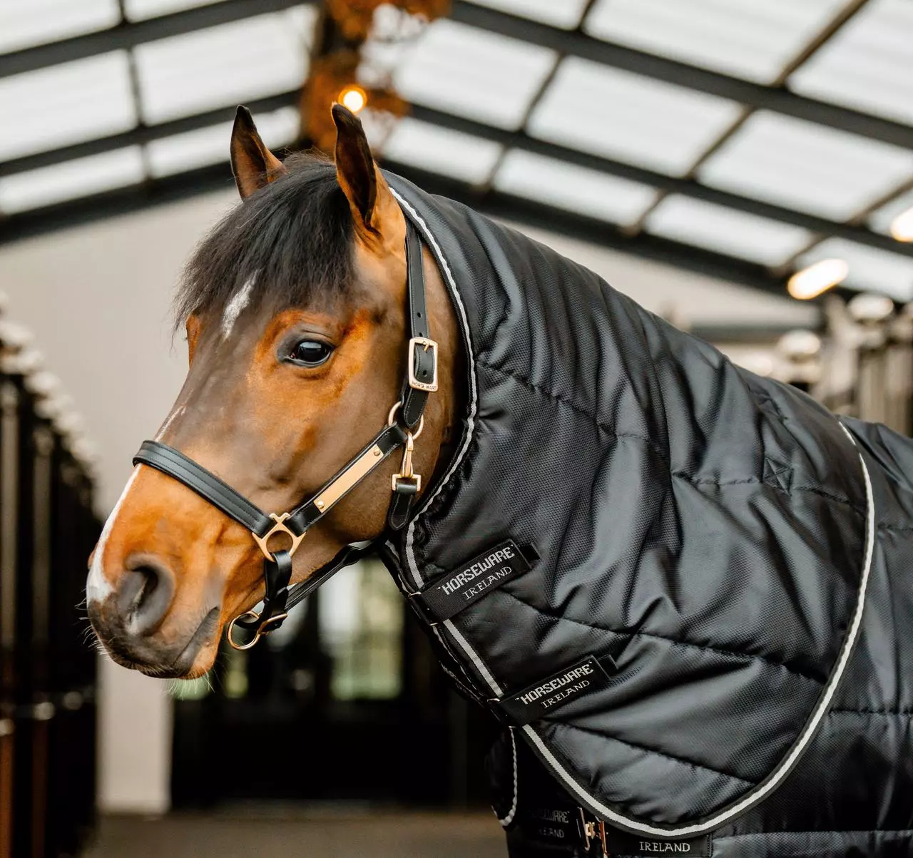 COUVRE-REINS CARRÉ HEAVY - KENTUCKY HORSEWEAR Taille M Couleur Vert sapin