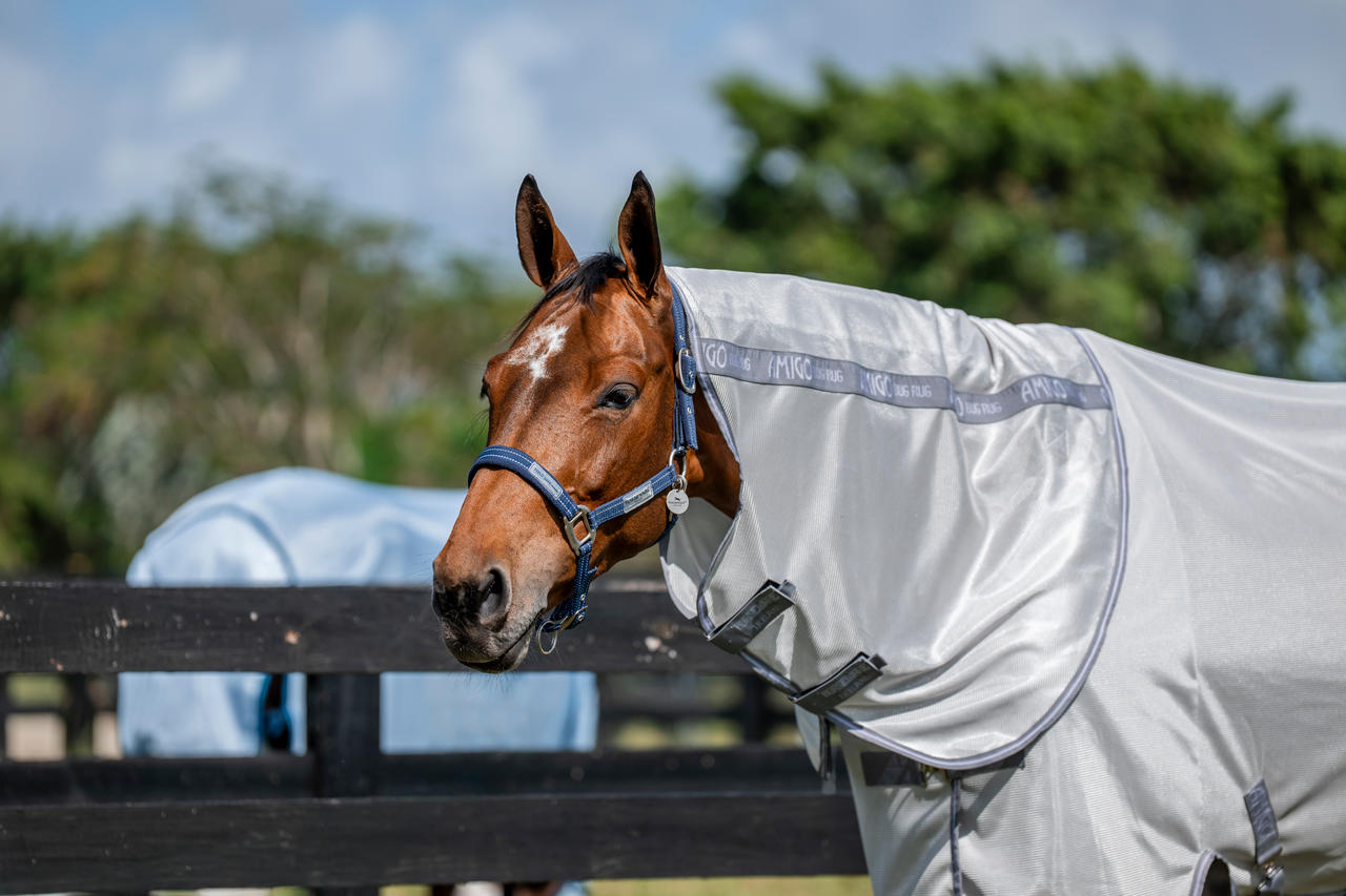 Horseware Couverture anti-mouches Amigo XL Plus
