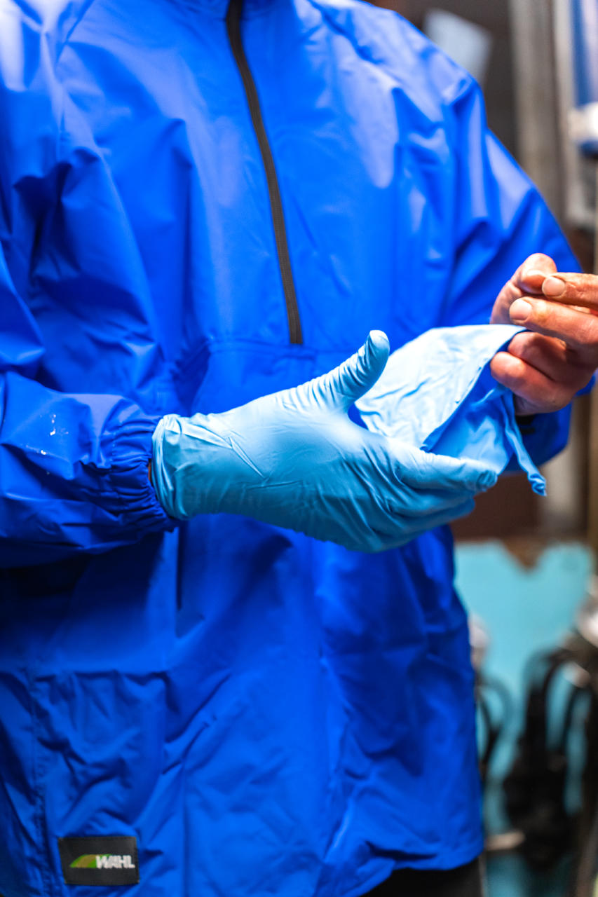 WAHL-Hausmarke Gants à usage unique Nitrile Profi