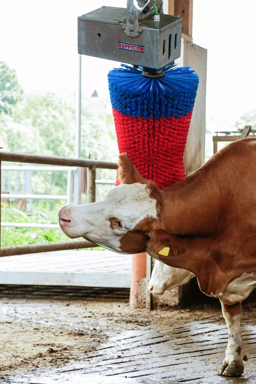 Kerbl Brosse à vaches HAPPYCOW MaxiSwing