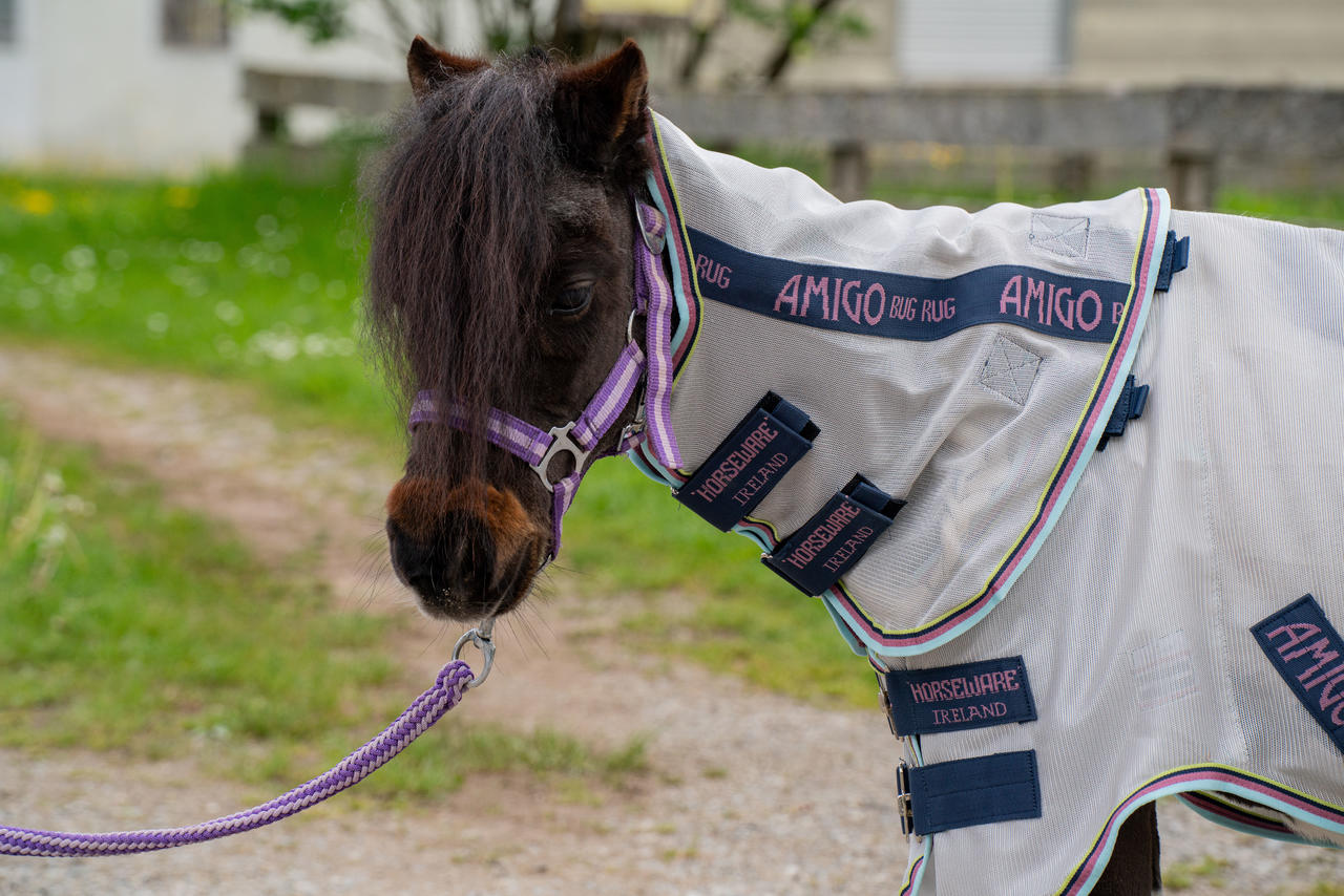 Horseware Chemise Anti-Mouches Pour Petite Amigo® Bug Rug