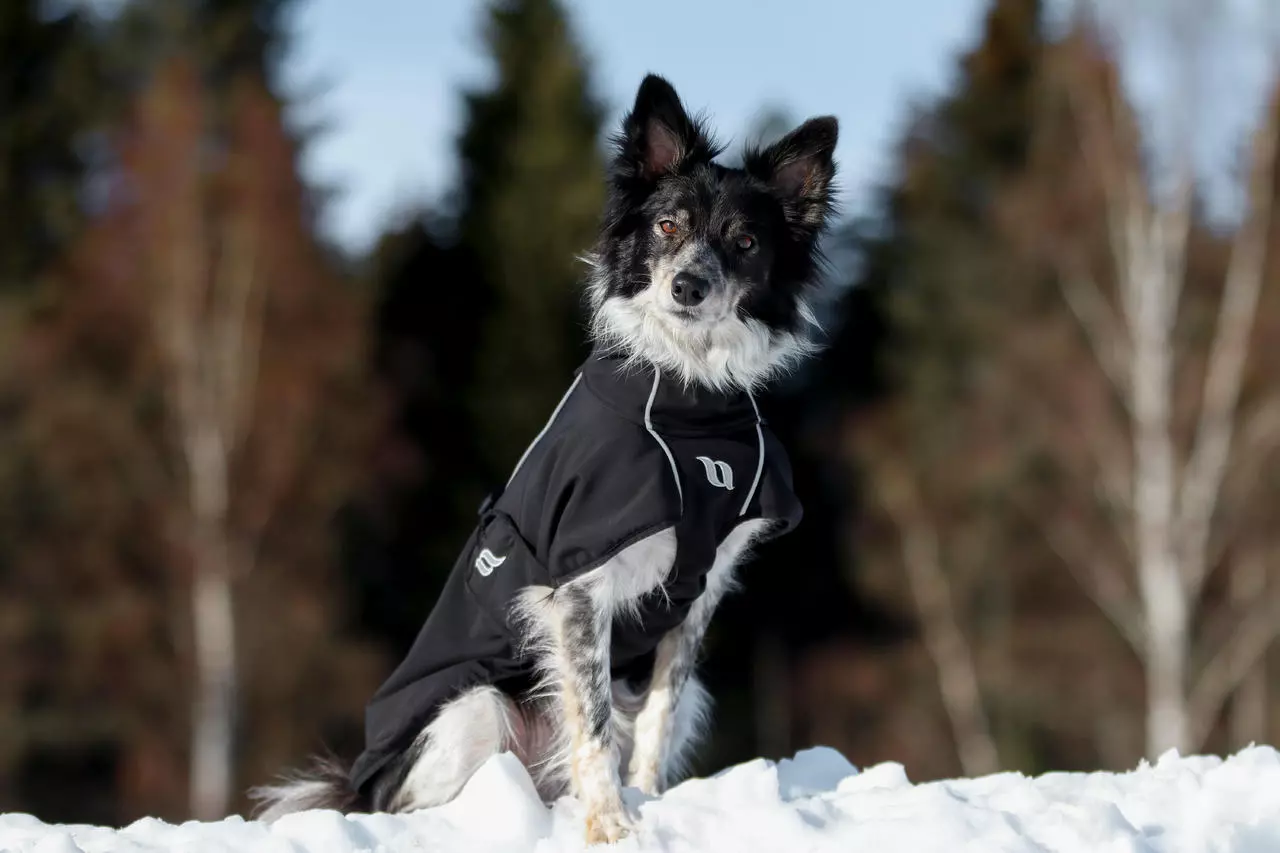 Back on Track Bark Allround Manteau pour chien