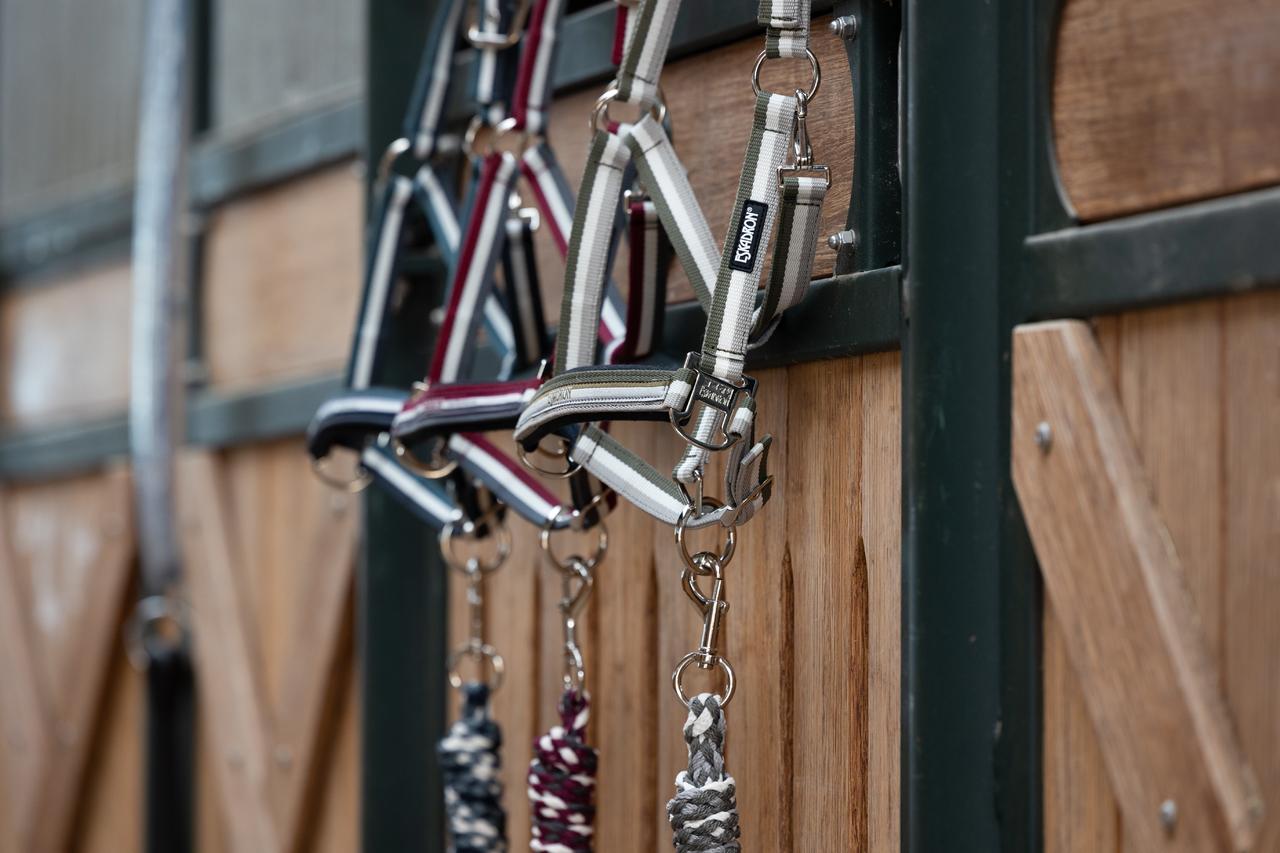 Eskadron Licol PIN BUCKLE