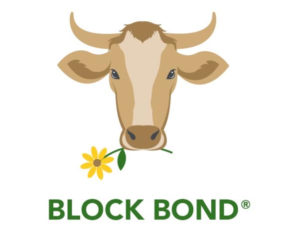Block_Bond_Logo