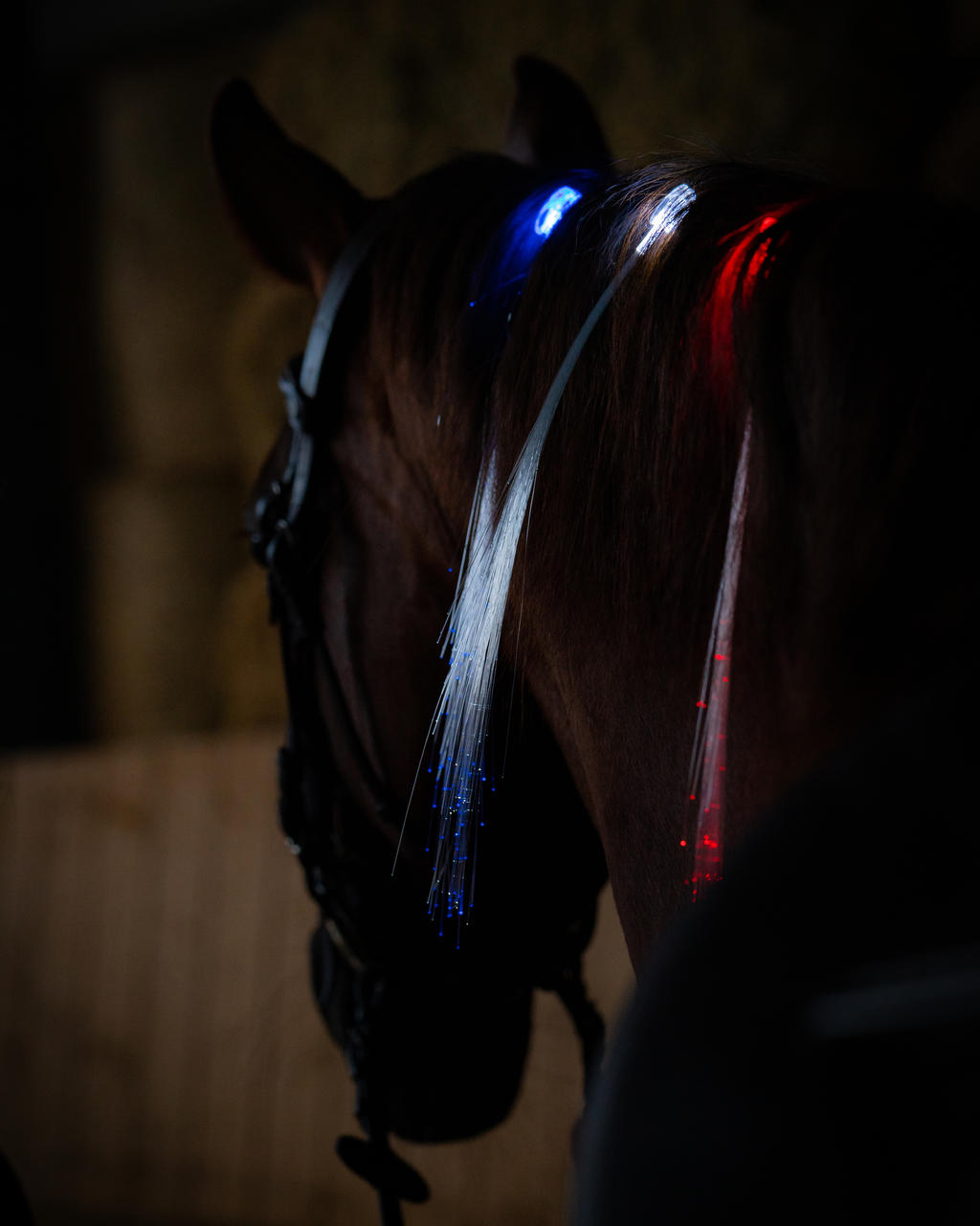 USG Clips LED pour la crinière