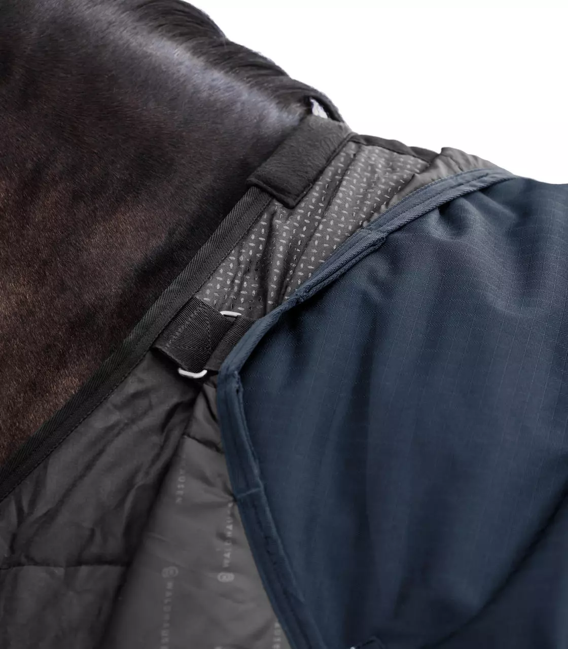 Waldhausen Couverture d'extérieur ARCTIC, 300 g