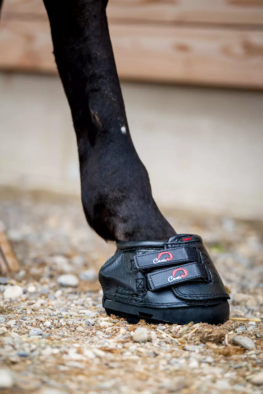 Cavallo Hipposandale modèle simple