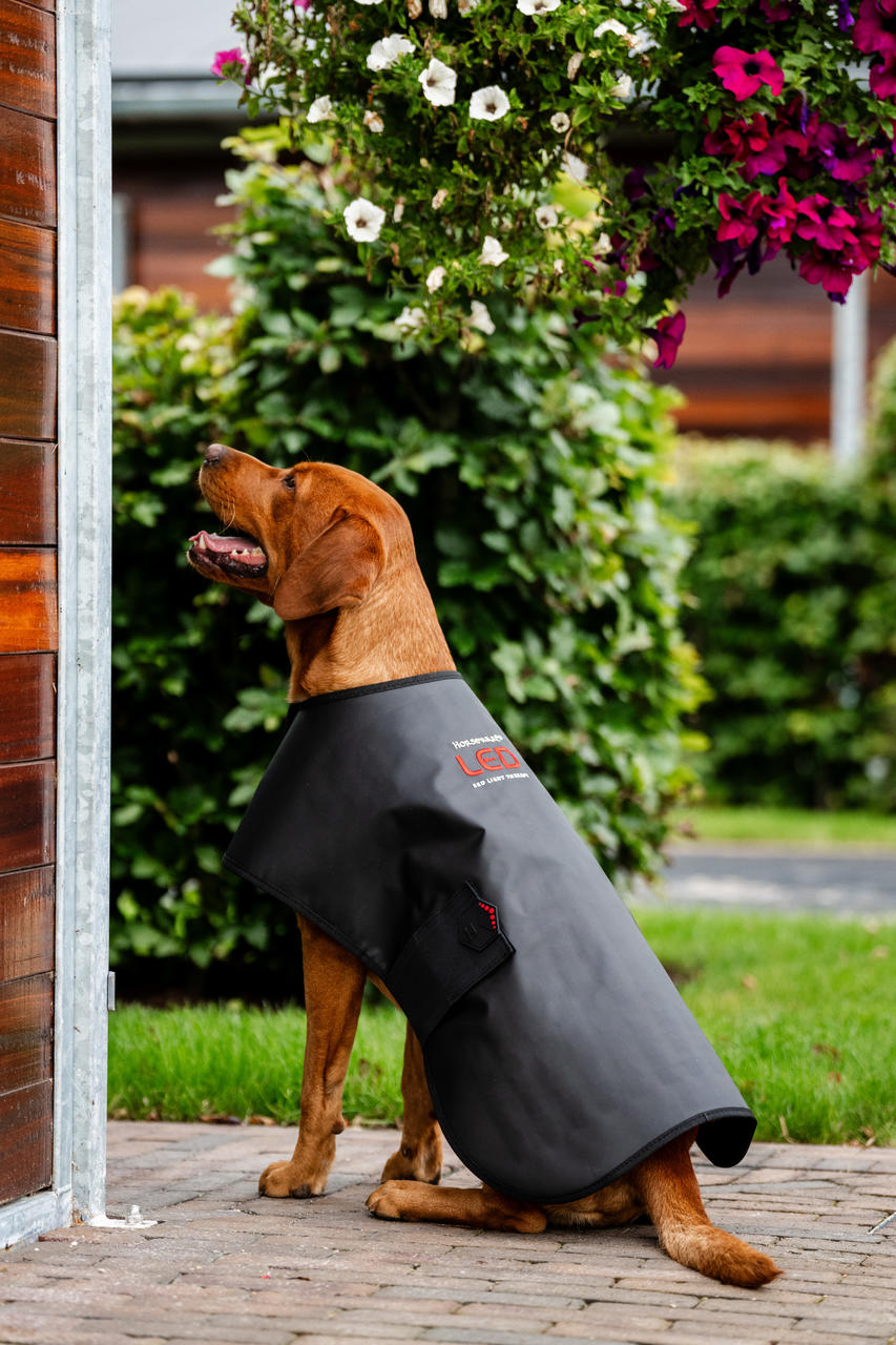 Horseware Manteau de Thérapie par Lumière Rouge LED pour Animaux de Compagnie