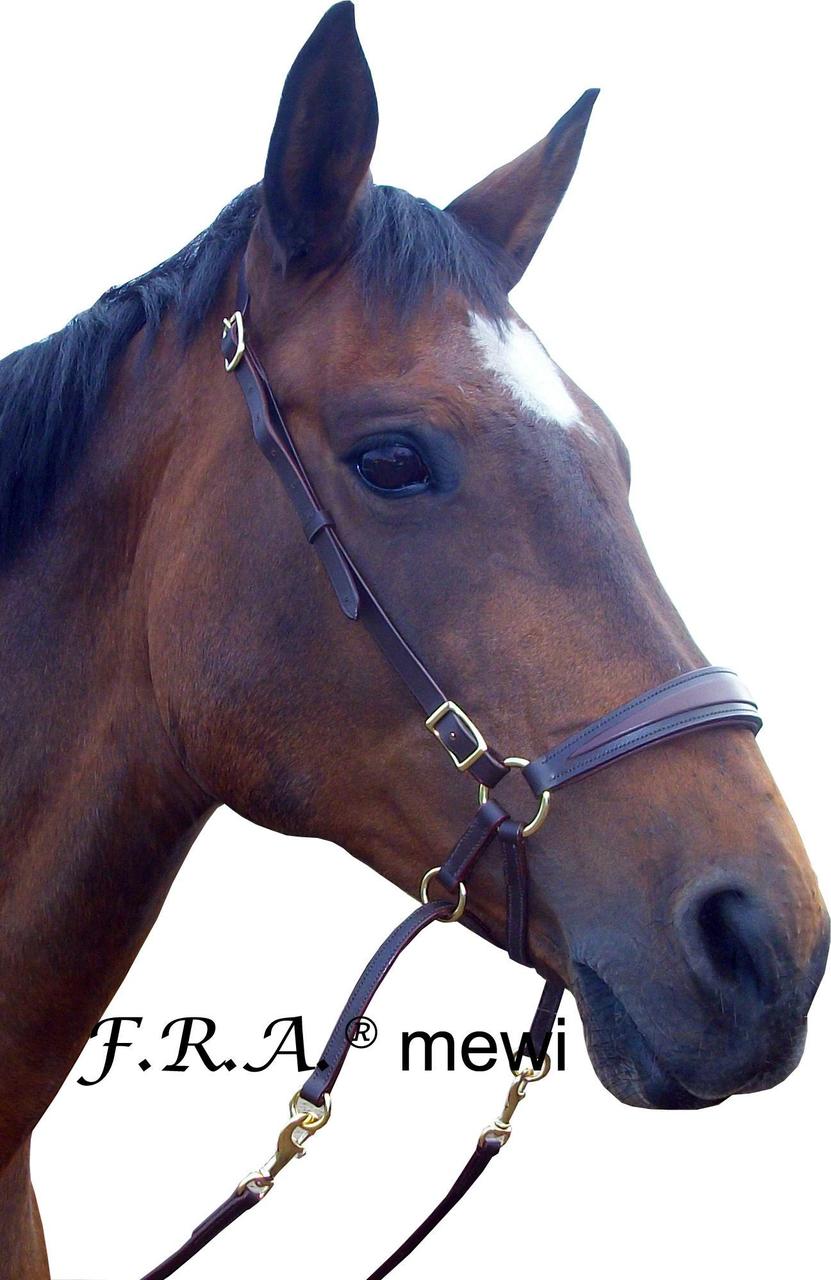 F.R.A. Filet sans mors Mewi