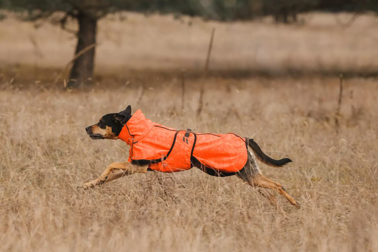 Back on Track Bark Allround Manteau pour chien