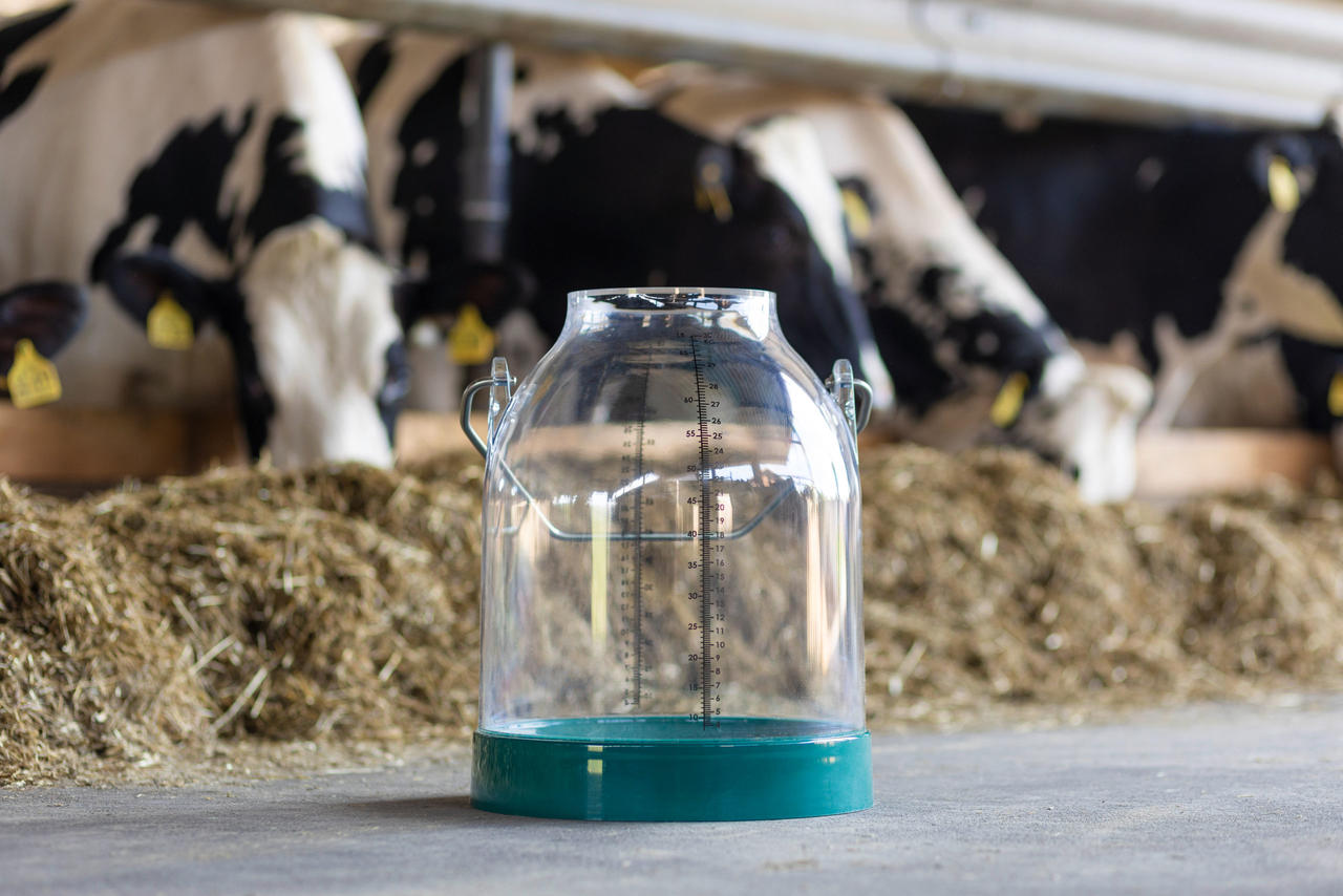 Seau à lait en plastique, 30 L