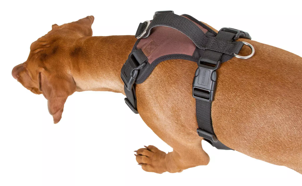 Kerbl Harnais pour chien Pulsive