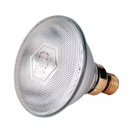 Philips Ampoule infrarouge économique 100 W