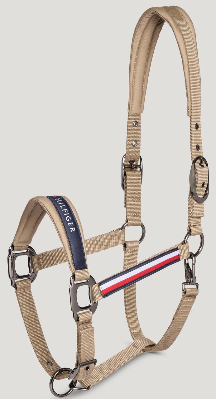 NM Arabians - Elevage de Pur-Sang Arabes