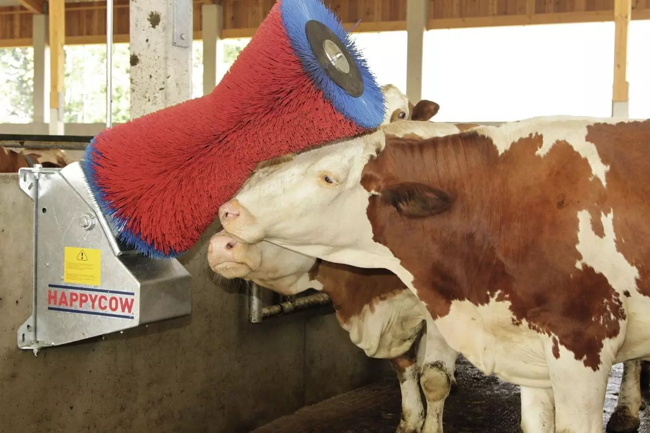 Kerbl Brosse à vaches HAPPYCOW Uno