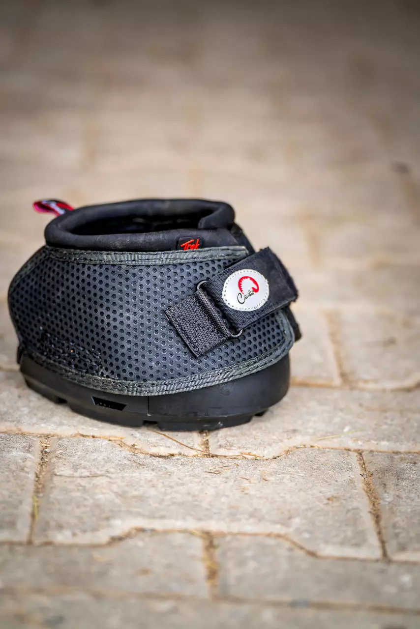 Cavallo Hipposandale modèle trek