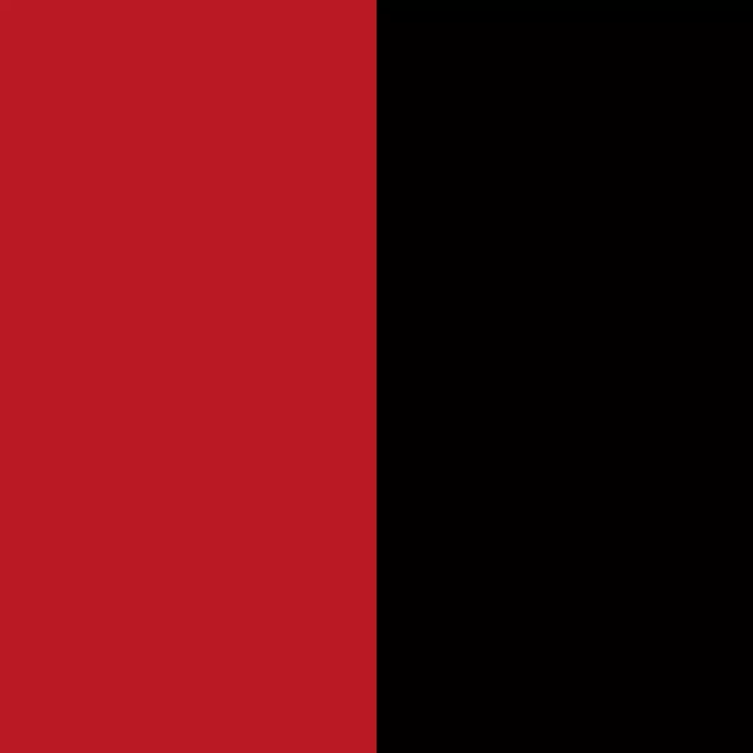 rouge/noir