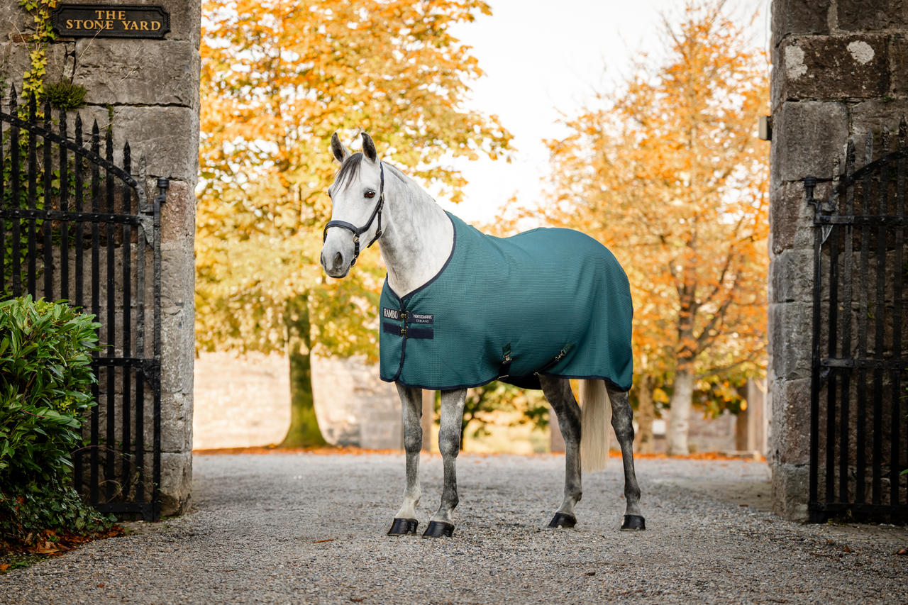 Horseware Chemise Séchante Rambo®Techni-Waffle