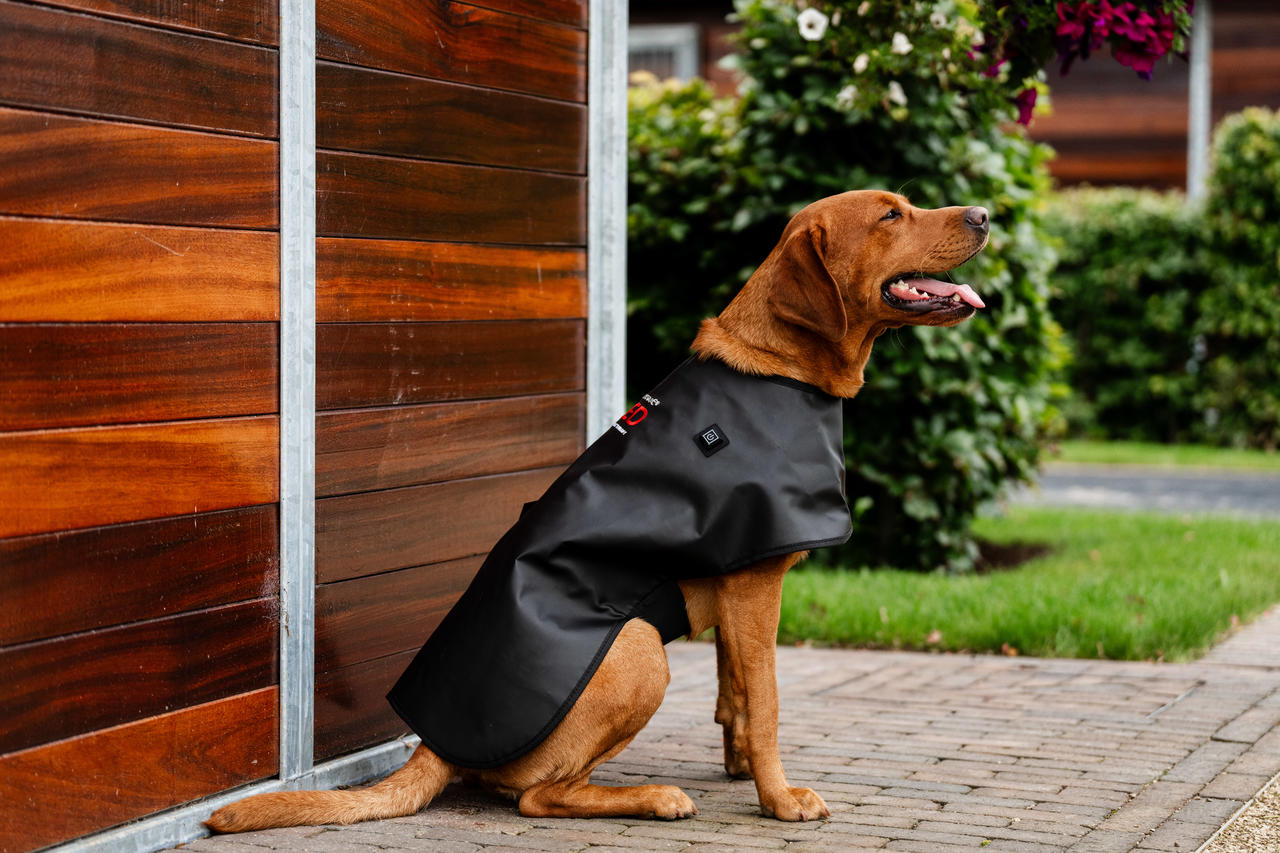 Horseware Manteau de Thérapie par Lumière Rouge LED pour Animaux de Compagnie