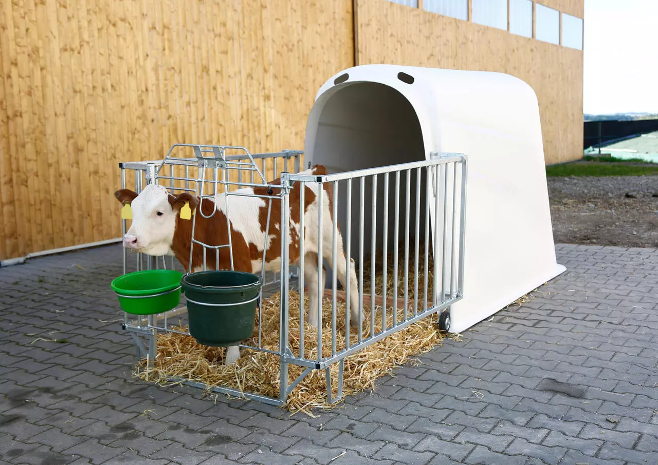 Kerbl Igloo pour veaux Calfhouse PREMIUM PLUS, léger Kerbl Igloo pour veaux Calfhouse PREMIUM PLUS, léger