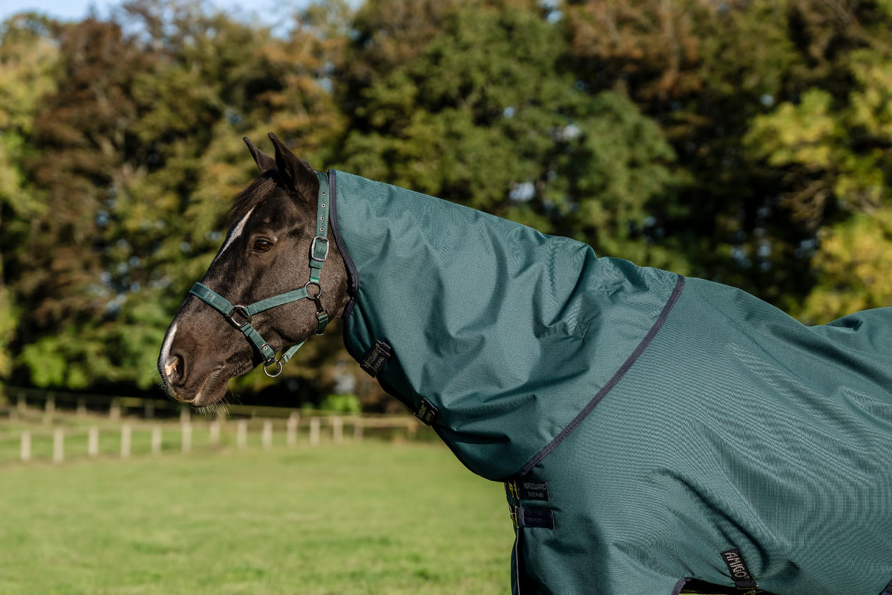 Horseware Couvre-cou Indéchirable Amigo® 900D (Léger 0g)