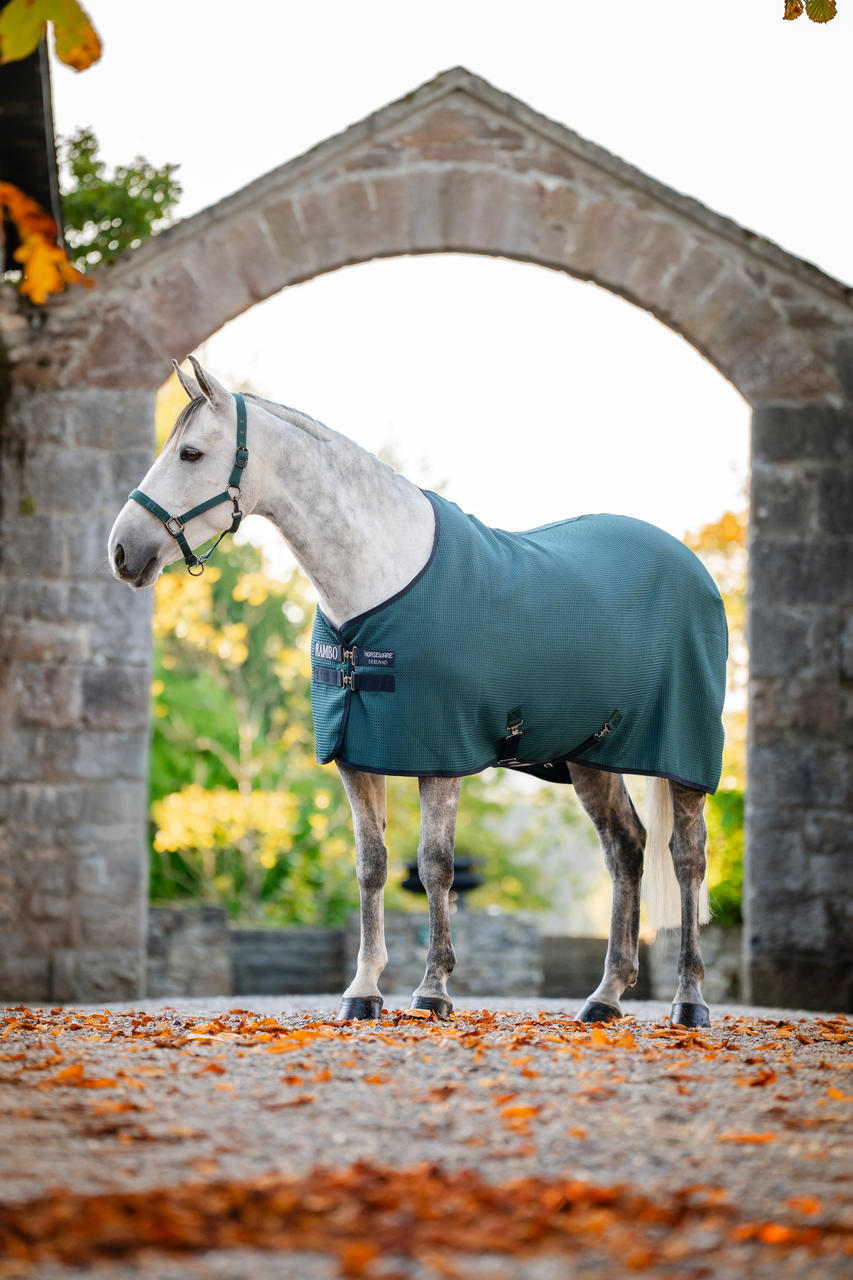 Horseware Chemise Séchante Rambo®Techni-Waffle