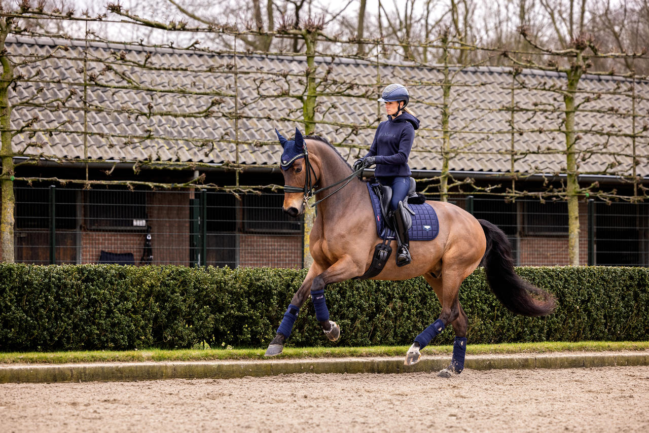 LeMieux Tapis de selle Square Dressage Loire Classic