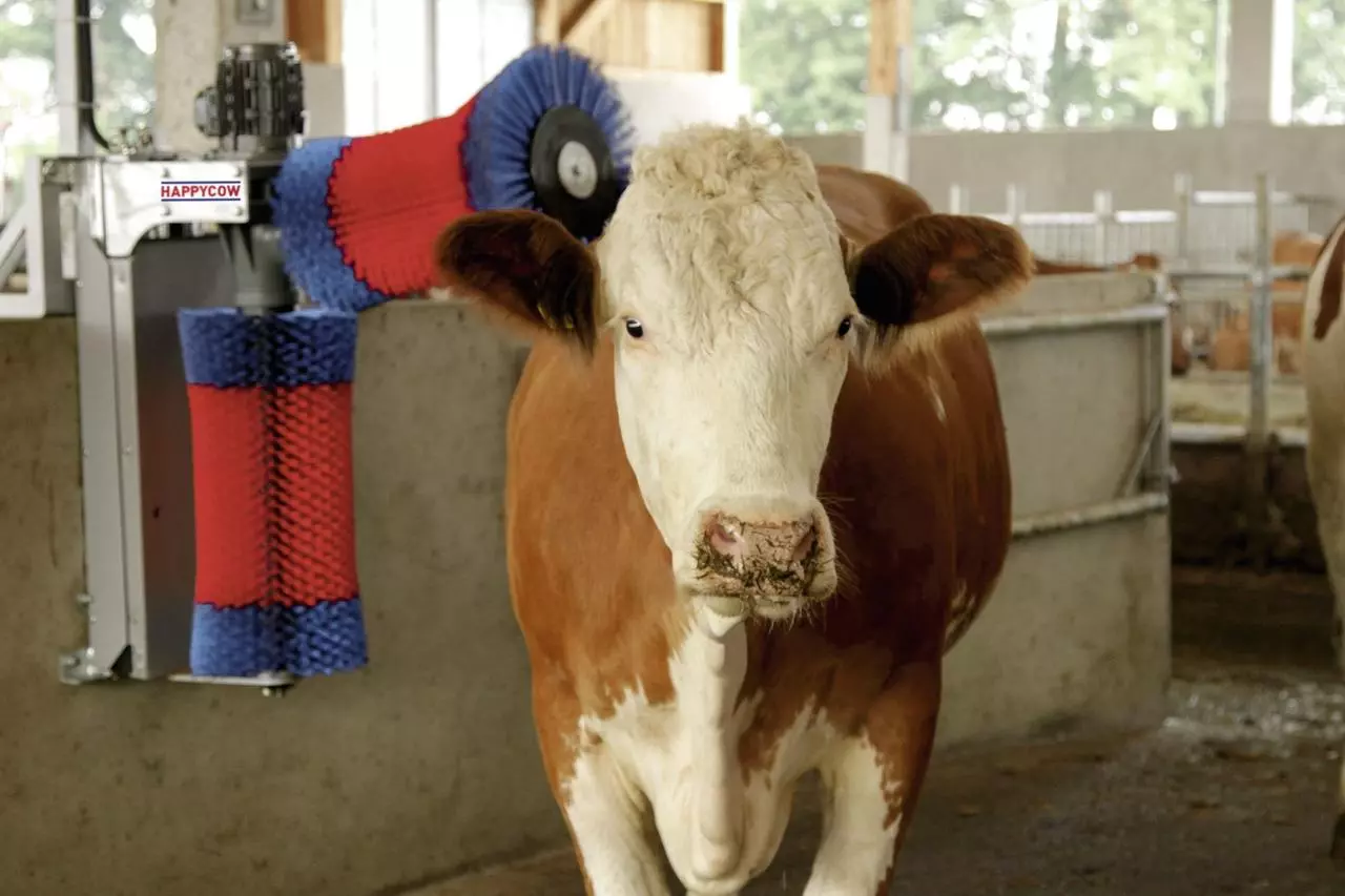 Kerbl Brosse à vache HAPPYCOW Duo
