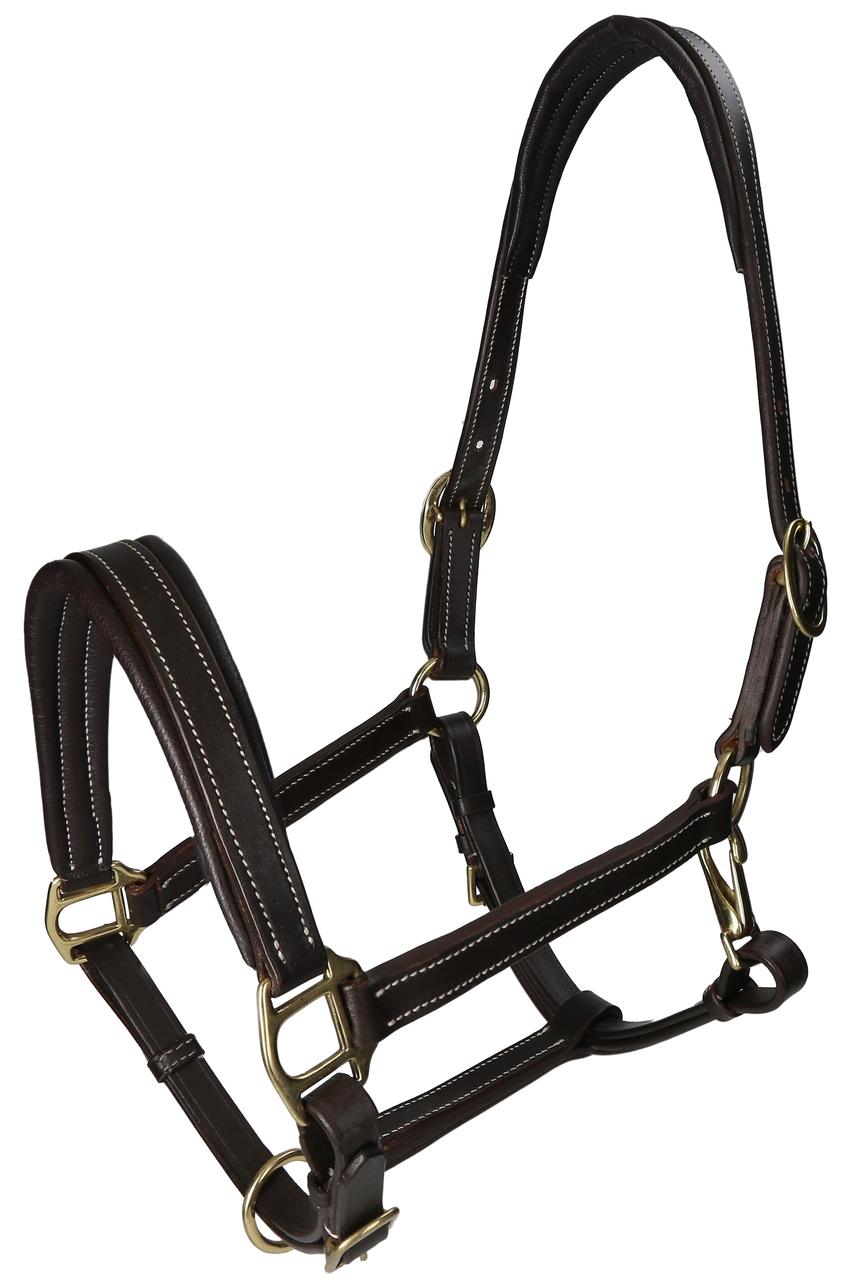 WAHL-Hausmarke Licol TenderMe, en cuir