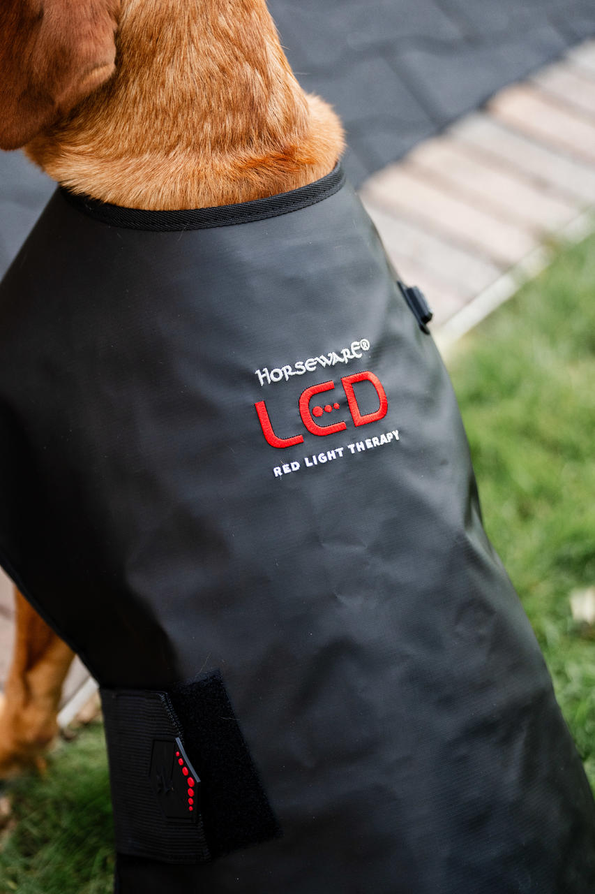 Horseware Manteau de Thérapie par Lumière Rouge LED pour Animaux de Compagnie