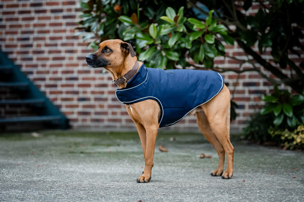 Horseware Imperméable pour Chien Signature 100g