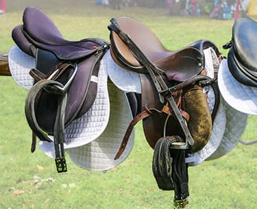 Selles & accessoires