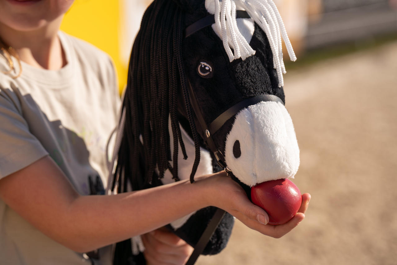 HKM Aliments en bois - Hobby Horsing