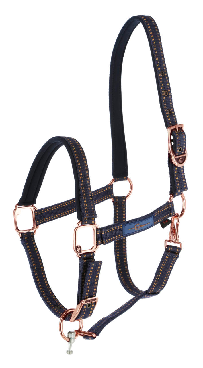 GoLeyGo 2.0 Licol pour chevaux 