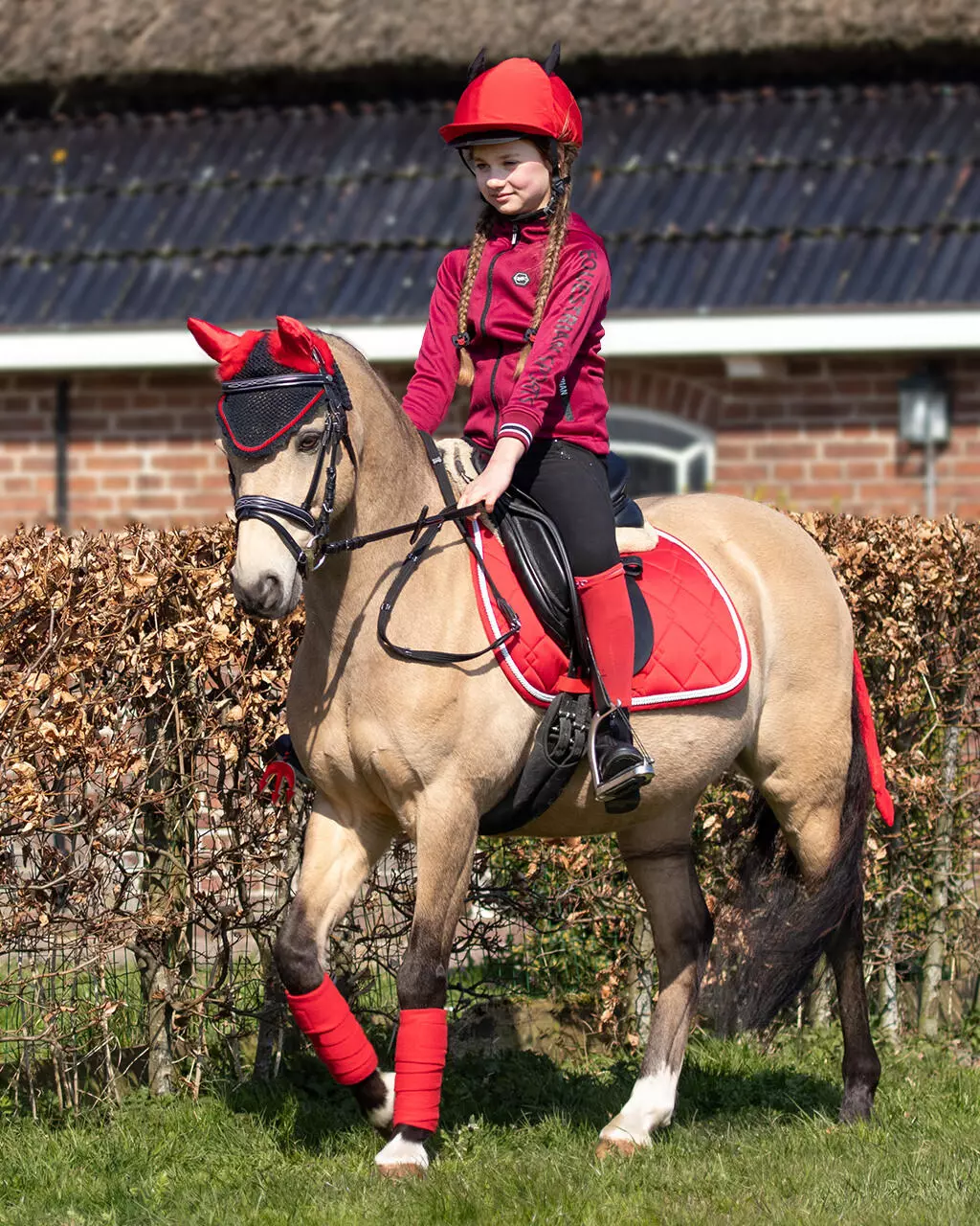 QHP Bonnet Halloween Diable