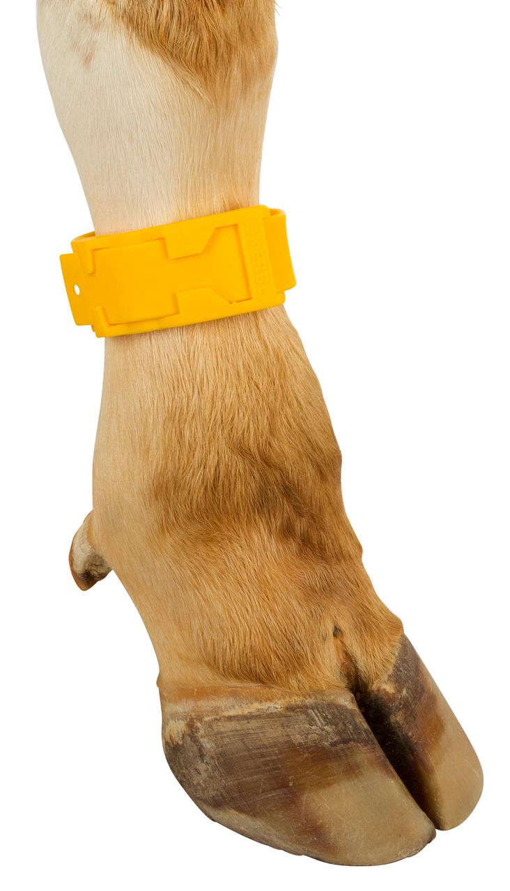 Kerbl Bracelet de marquage pour vaches