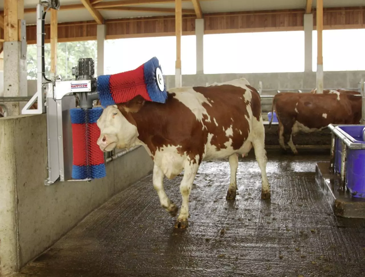 Kerbl Brosse à vache HAPPYCOW Duo