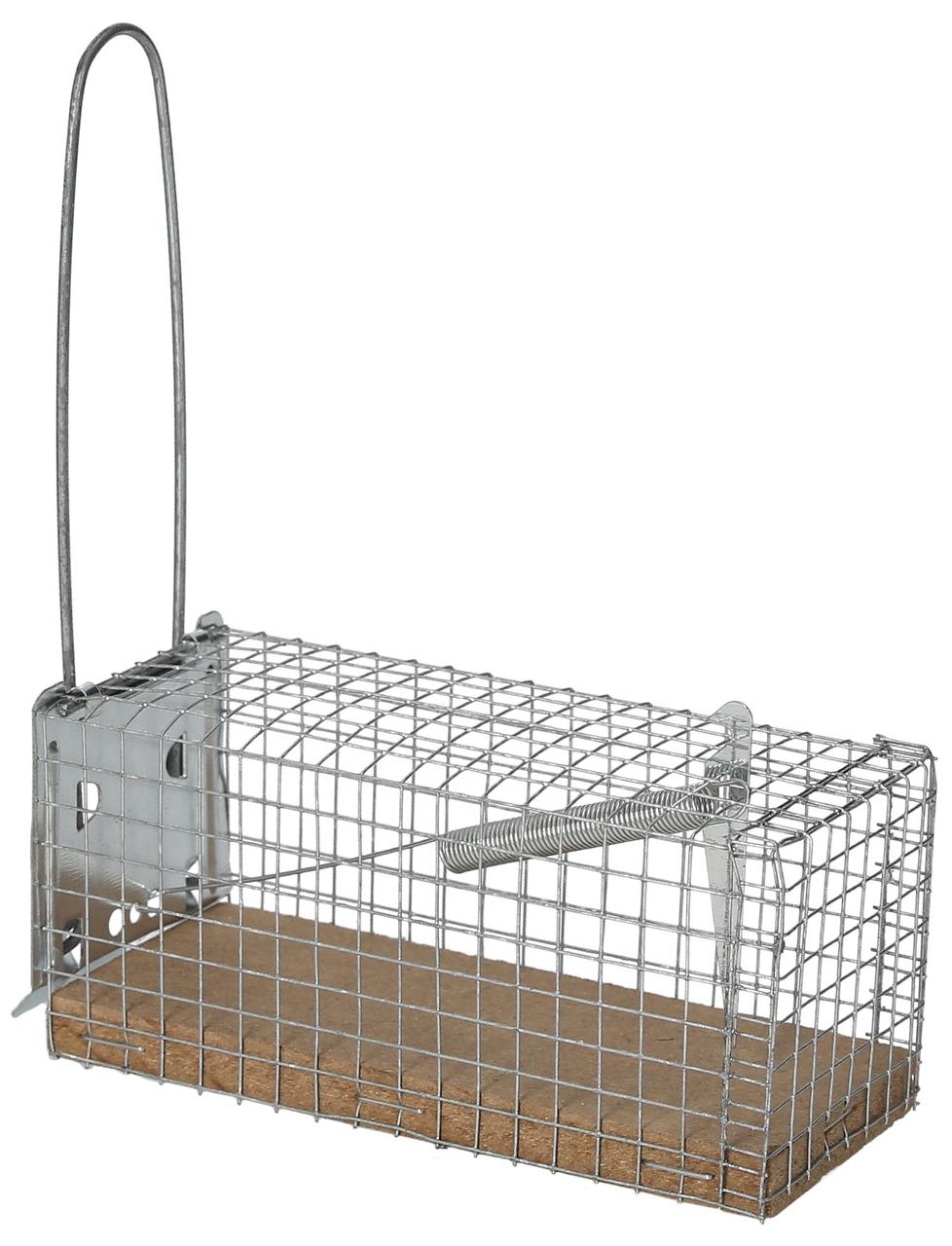 cit Nasse à souris - piège mécanique